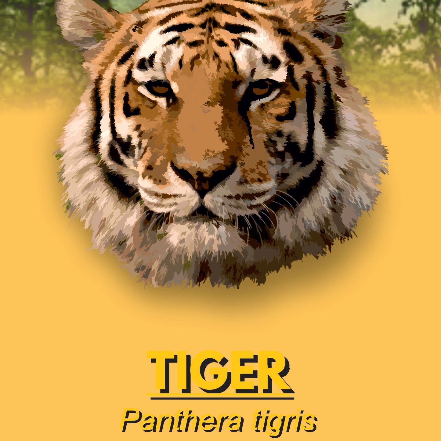 Tiger Factsheet