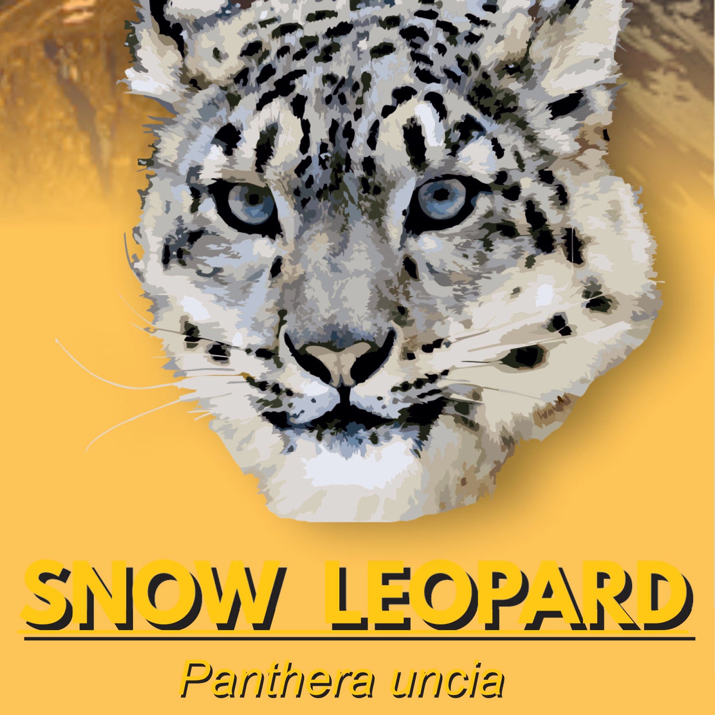 Snow leopard Factsheet