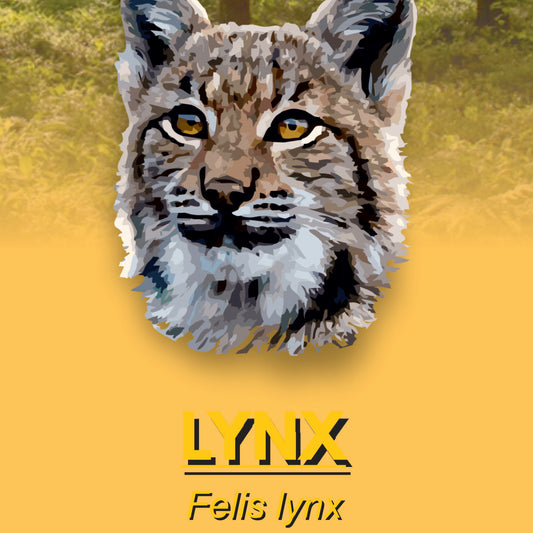 Lynx Factsheet