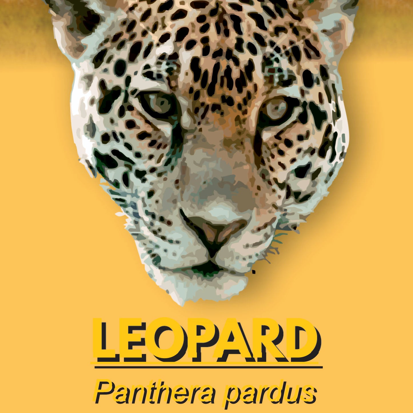 Leopard Factsheet