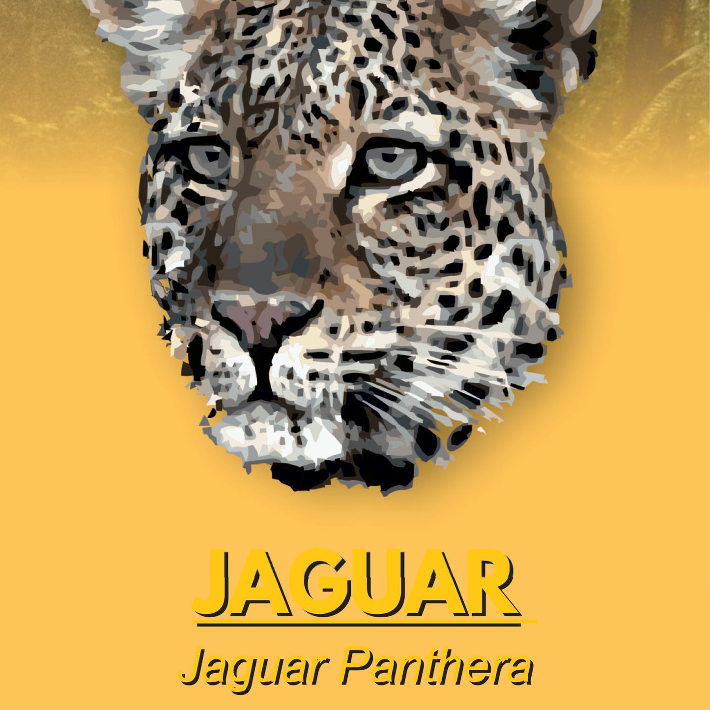 Jaguar Factsheet