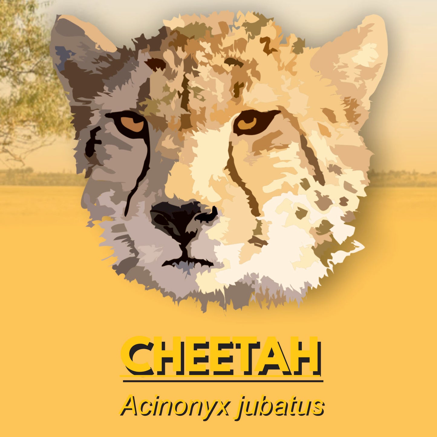 Cheetah Factsheet