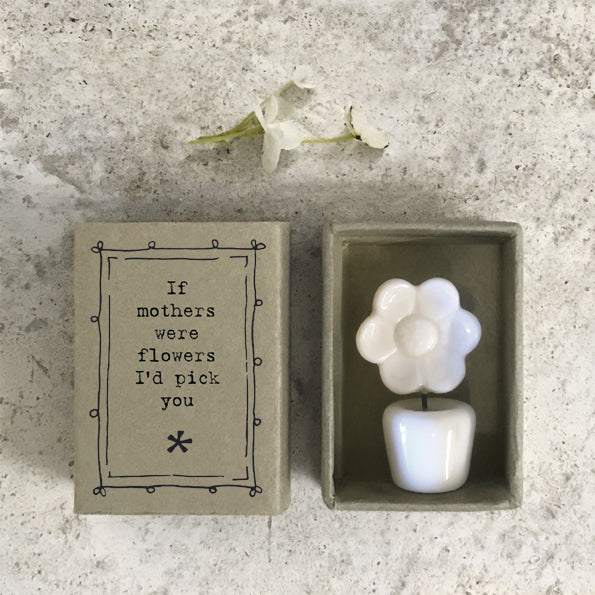 Matchbox flower