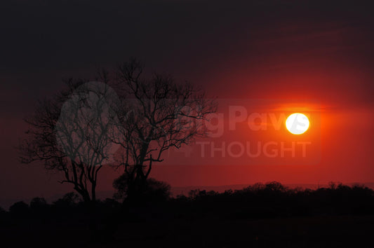 African sunset