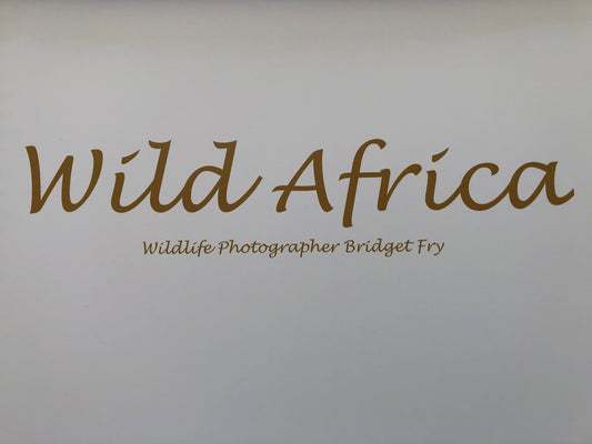 Wild Africa Boxed Presenter