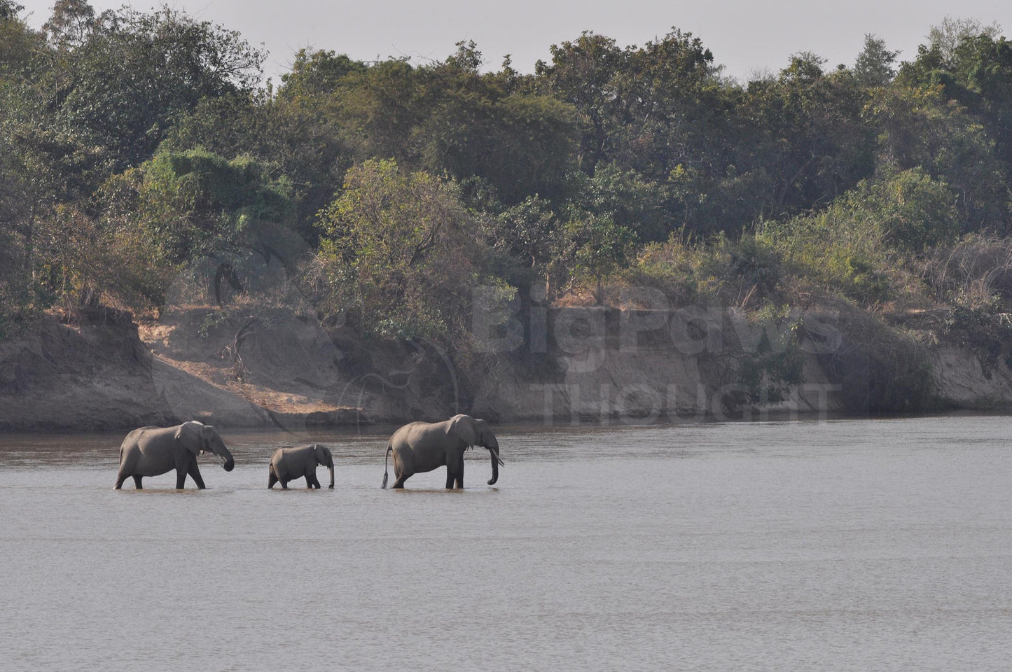 River crossing