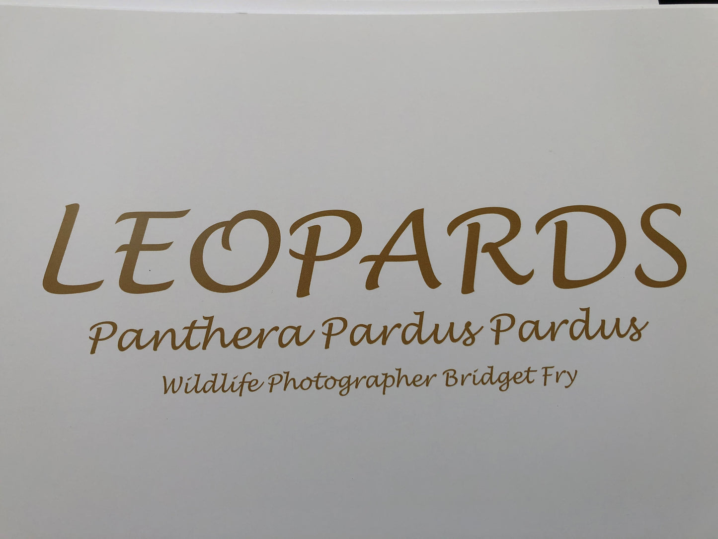 Leopard Boxed Presenter