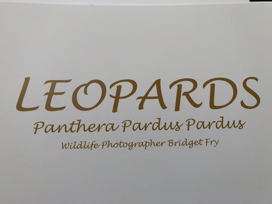 Leopard Boxed Presenter